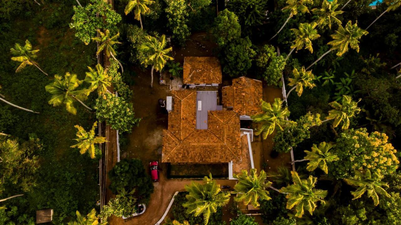 Piggy Hostel فاركَالا المظهر الخارجي الصورة